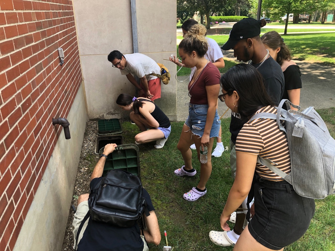 Students looking for ants on campus